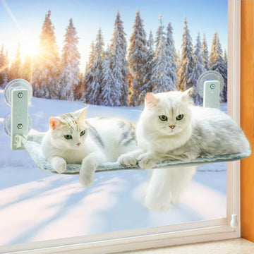 Window perch for cats with suction