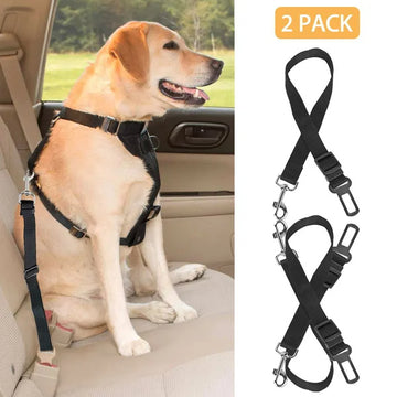 Seat belt and harness for dogs