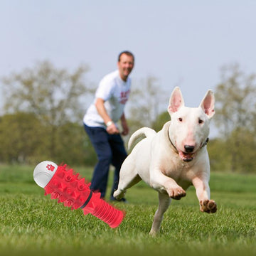 Rubber chewing toy for strong chewers