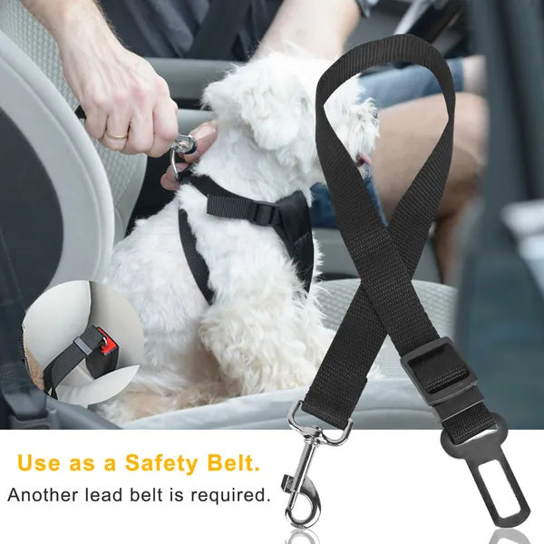 Seat belt and harness for dogs