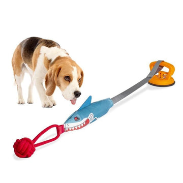 Shark Shaped Toy with suction to floor
