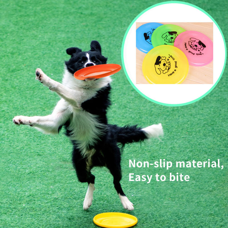 Flying disc for dogs