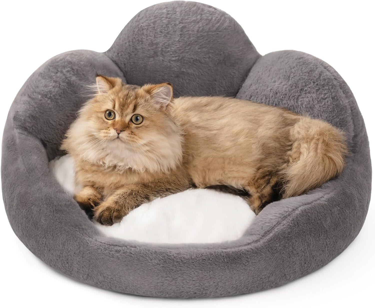 Flower shaped pet bed for a small dog or cat