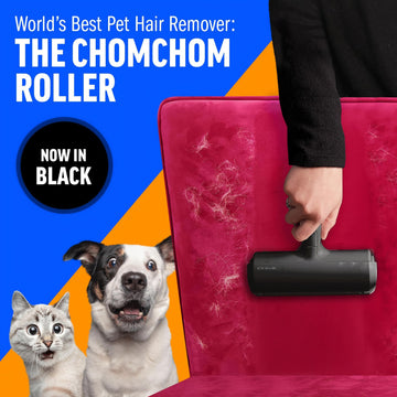 Pet Hair Remover With Reusable Sticky Applicator